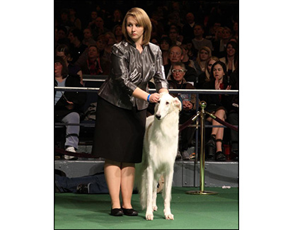 Top Junior Handler 2011